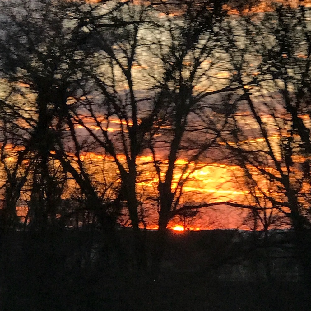 Meet your Posher, Patti